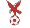 https://img.pandianbiao.com/img/football/team/4802d26df935b78bb2fcdbbff36e8864.png